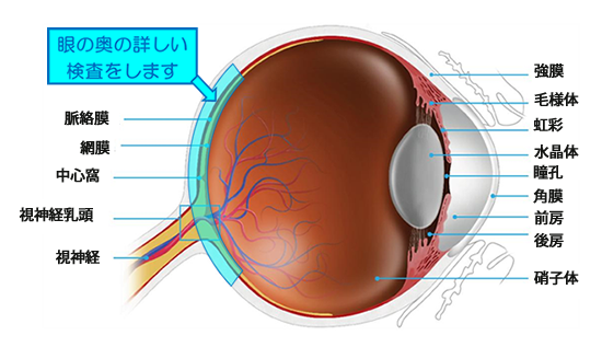 OCT（光干渉断層計）検査 - にし眼科クリニック